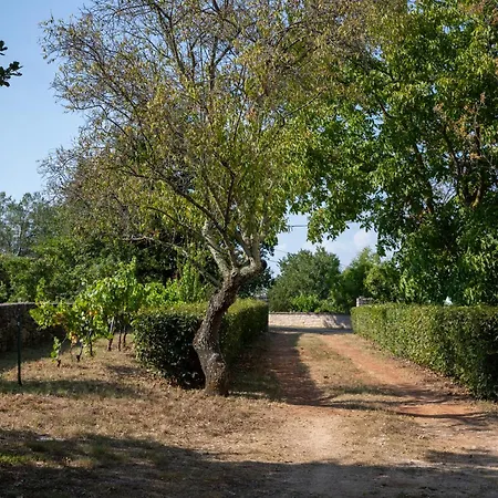 Jala
