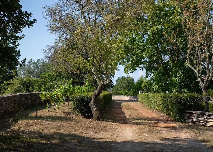 Jala