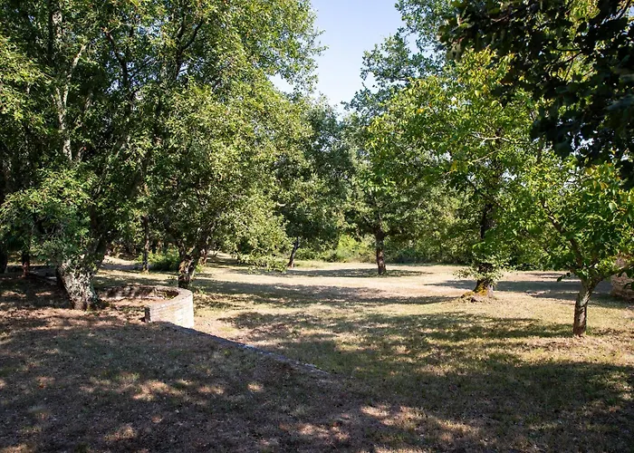 Jala Apartman Medaki